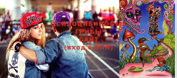 ГАЛЛЮЦИНОГЕННЫЕ ГРИБЫ Заводоуковск