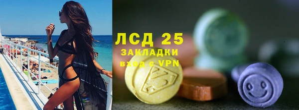 ГАЛЛЮЦИНОГЕННЫЕ ГРИБЫ Заводоуковск