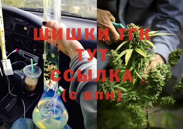 ГАЛЛЮЦИНОГЕННЫЕ ГРИБЫ Заводоуковск
