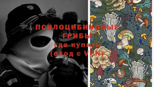 ГАЛЛЮЦИНОГЕННЫЕ ГРИБЫ Заводоуковск