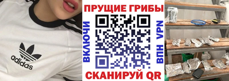магазин продажи   Ярцево  Галлюциногенные грибы прущие грибы 
