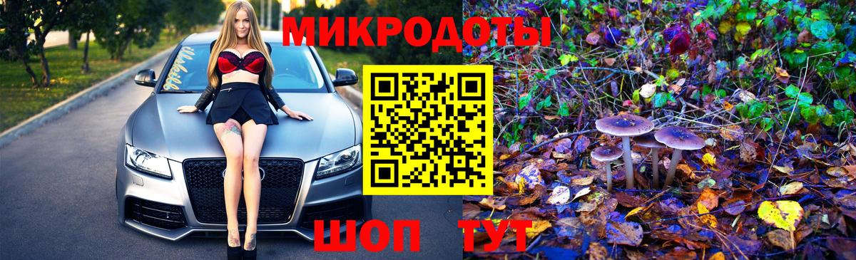 Псилоцибиновые грибы Psilocybine cubensis Ярцево