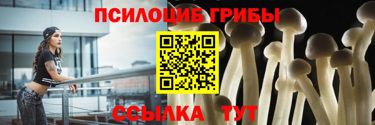 Псилоцибиновые грибы ЛСД  Псилоцибиновые грибы Cubensis  Ярцево  Вход с VPN 